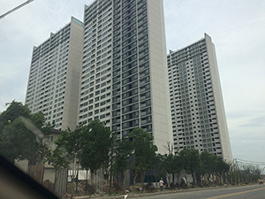 裕沁庭東區(qū)開荒保潔